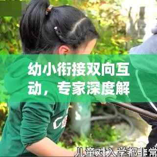 幼小衔接双向互动，专家深度解读，助力孩子顺利过渡！