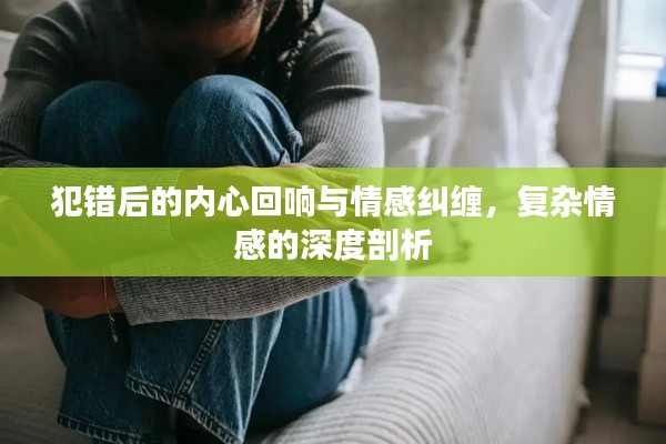 犯错后的内心回响与情感纠缠，复杂情感的深度剖析