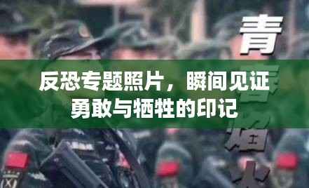 反恐专题照片，瞬间见证勇敢与牺牲的印记