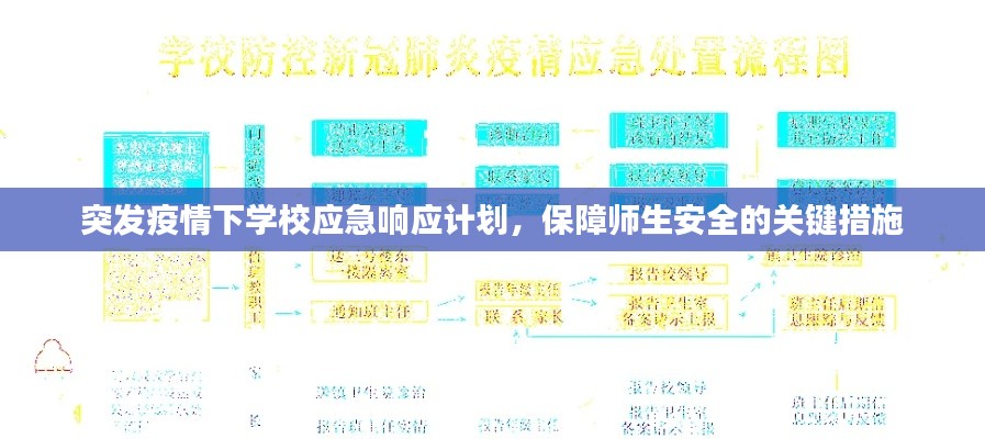 突发疫情下学校应急响应计划，保障师生安全的关键措施