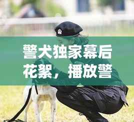 警犬独家幕后花絮，播放警犬连续剧 