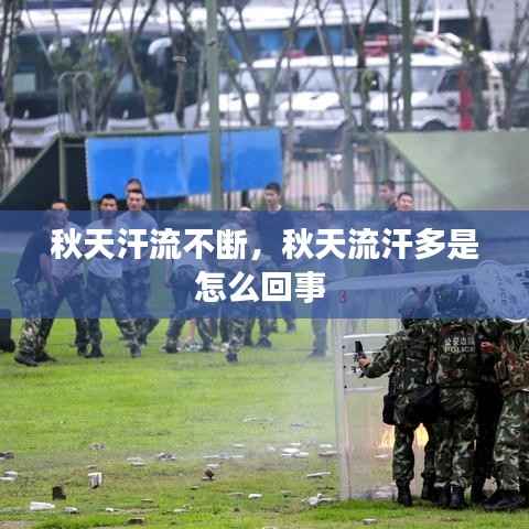 张飞穿针 第6页