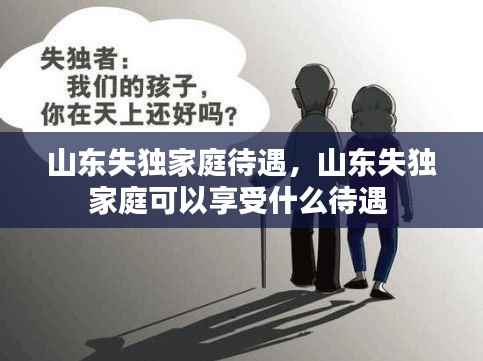 山东失独家庭待遇，山东失独家庭可以享受什么待遇 