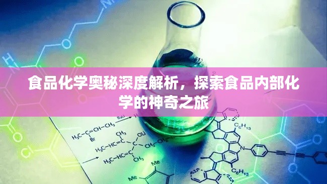 食品化学奥秘深度解析，探索食品内部化学的神奇之旅