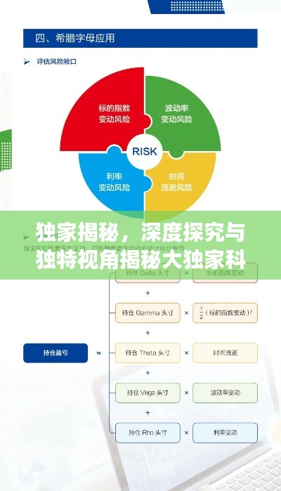 独家揭秘，深度探究与独特视角揭秘大独家科目
