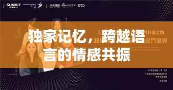 独家记忆，跨越语言的情感共振