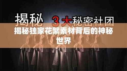 揭秘独家花絮素材背后的神秘世界