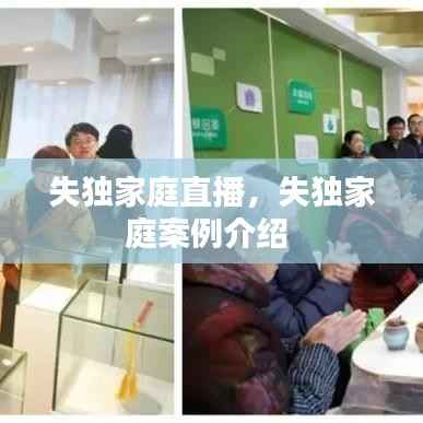 失独家庭直播，失独家庭案例介绍 