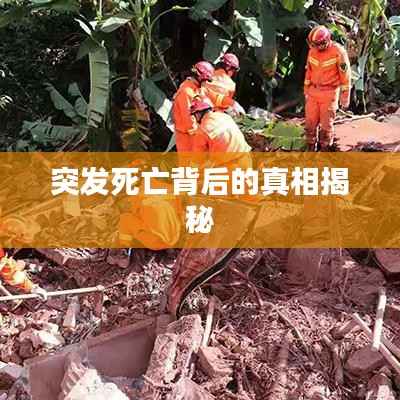 突发死亡背后的真相揭秘