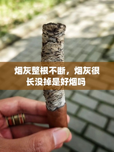 烟灰整根不断，烟灰很长没掉是好烟吗 