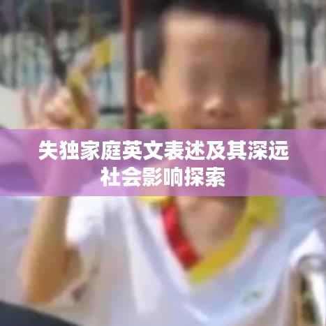 失独家庭英文表述及其深远社会影响探索