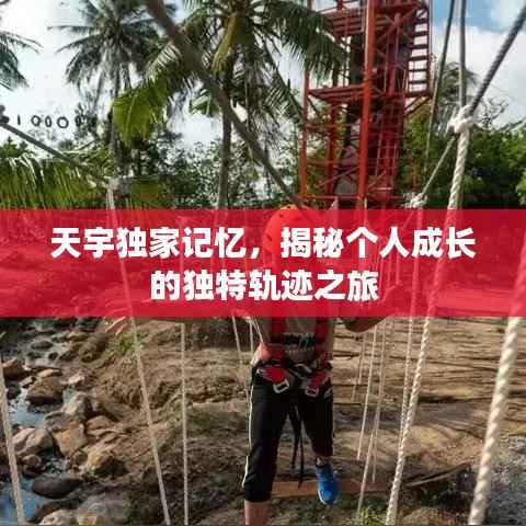 天宇独家记忆，揭秘个人成长的独特轨迹之旅