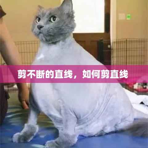 剪不断的直线，如何剪直线 