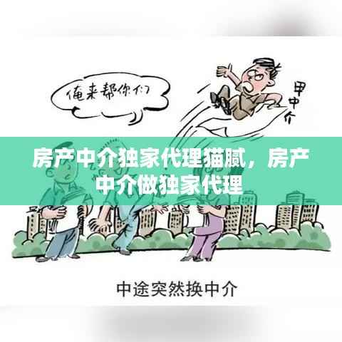 房产中介独家代理猫腻，房产中介做独家代理 
