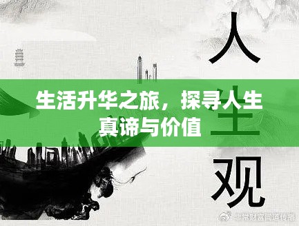 倦鸟思归 第5页