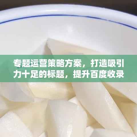 专题运营策略方案，打造吸引力十足的标题，提升百度收录与点击率！