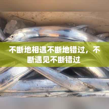 不断地相遇不断地错过，不断遇见不断错过 