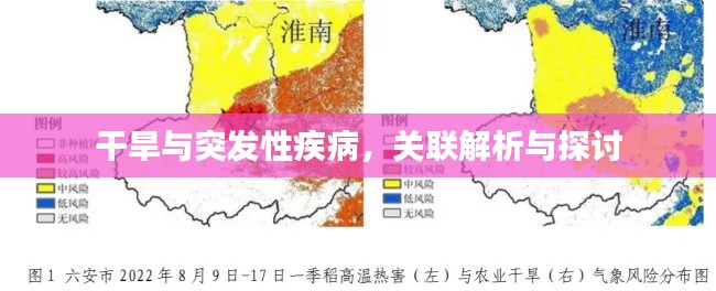 干旱与突发性疾病，关联解析与探讨