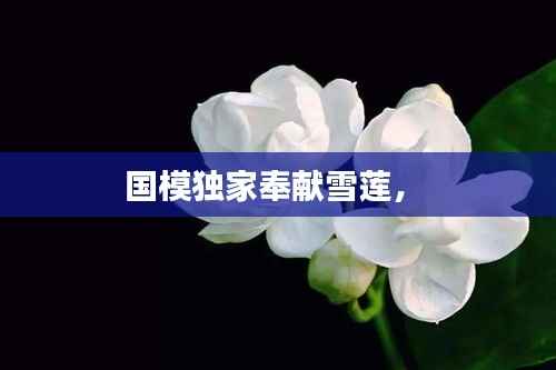 国模独家奉献雪莲， 