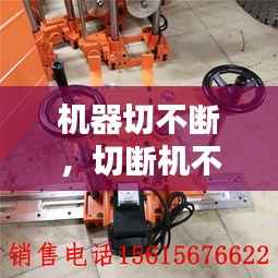 德才兼备 第4页