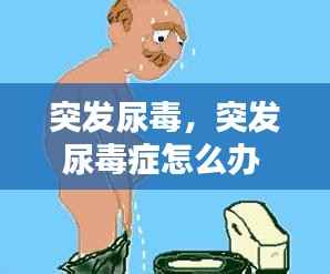 突发尿毒，突发尿毒症怎么办 