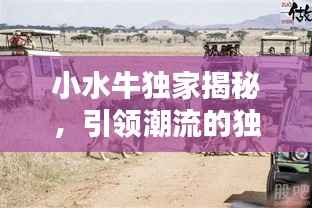 小水牛独家揭秘，引领潮流的独特魅力，探索未知新纪元