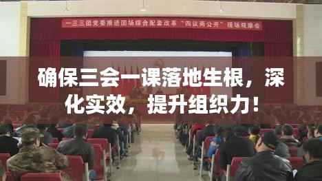 确保三会一课落地生根，深化实效，提升组织力！
