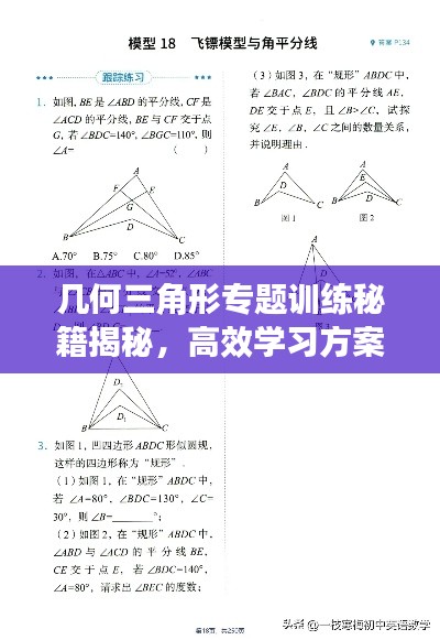 几何三角形专题训练秘籍揭秘，高效学习方案与实战教程