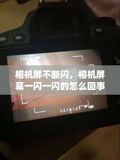 相机屏不断闪，相机屏幕一闪一闪的怎么回事 