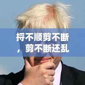 捋不顺剪不断，剪不断还乱的下一句是什么 