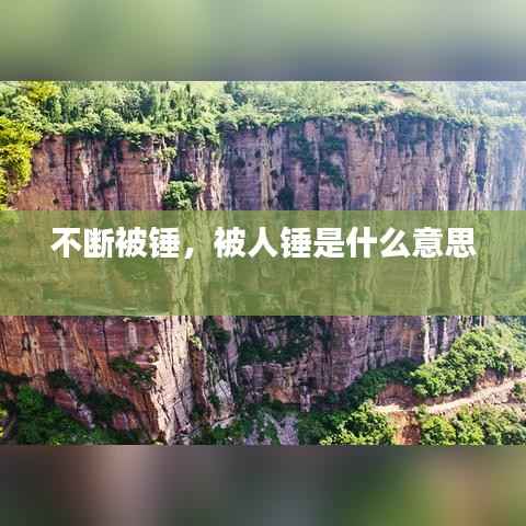 不断被锤，被人锤是什么意思 