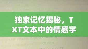 独家记忆揭秘，TXT文本中的情感宇宙探索