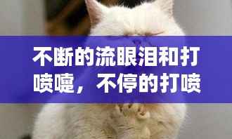 不断的流眼泪和打喷嚏，不停的打喷嚏流鼻涕流眼泪什么原因引起 