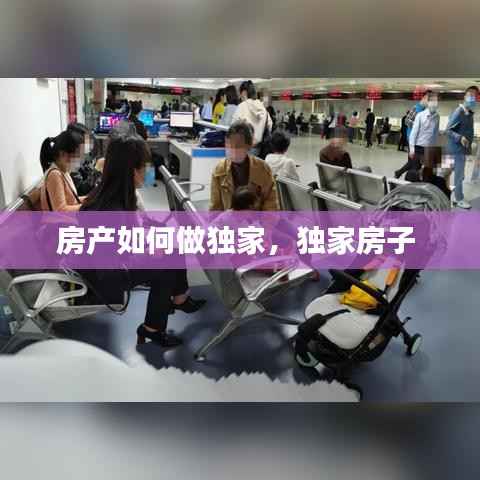 房产如何做独家，独家房子 
