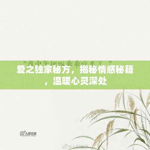 爱之独家秘方，揭秘情感秘籍，温暖心灵深处