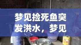 梦见捡死鱼突发洪水，梦见捡个大死鱼还是好的能吃 