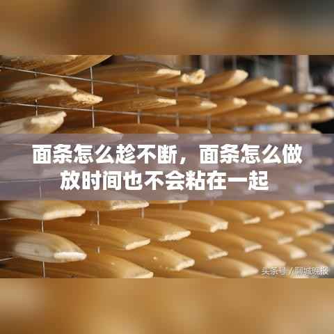 面条怎么趁不断，面条怎么做放时间也不会粘在一起 