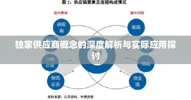 独家供应商概念的深度解析与实际应用探讨