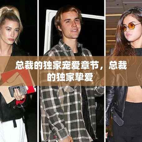 总裁的独家宠爱章节，总裁的独家挚爱 