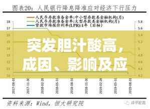 突发胆汁酸高，成因、影响及应对之策