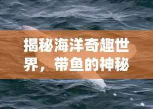 揭秘海洋奇趣世界，带鱼的神秘面纱