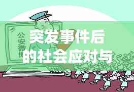 突发事件后的社会应对与反思，深度解析应对策略及反思启示