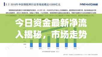 今日资金最新净流入揭秘，市场走势深度分析与预测