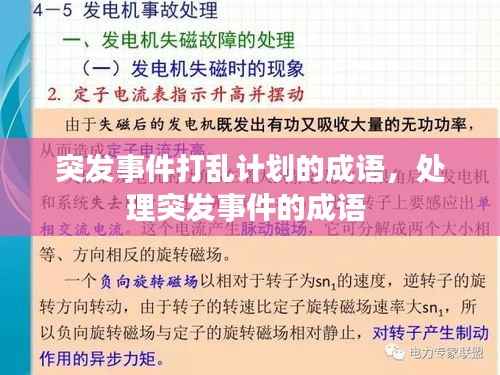 突发事件打乱计划的成语，处理突发事件的成语 