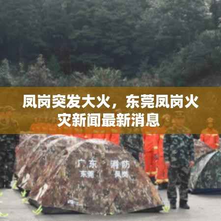 凤岗突发大火，东莞凤岗火灾新闻最新消息 