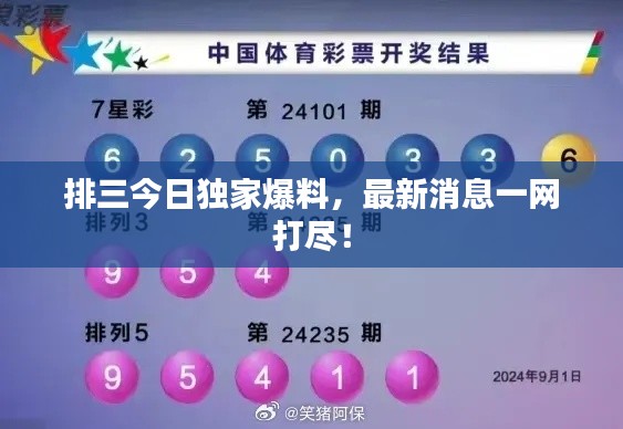 排三今日独家爆料，最新消息一网打尽！