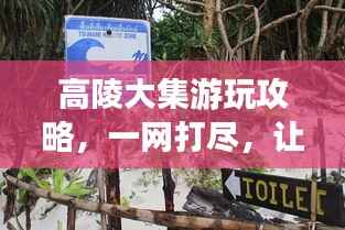 高陵大集游玩攻略，一网打尽，让你玩得尽兴！