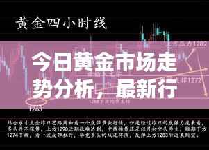今日黄金市场走势分析，最新行情展望与挖金者必备指南