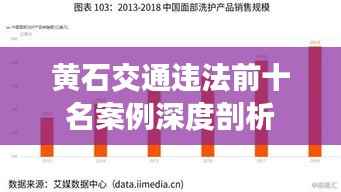 黄石交通违法前十名案例深度剖析