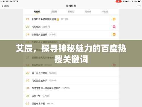 艾辰，探寻神秘魅力的百度热搜关键词